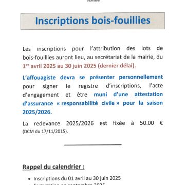 Inscription bois fouillies